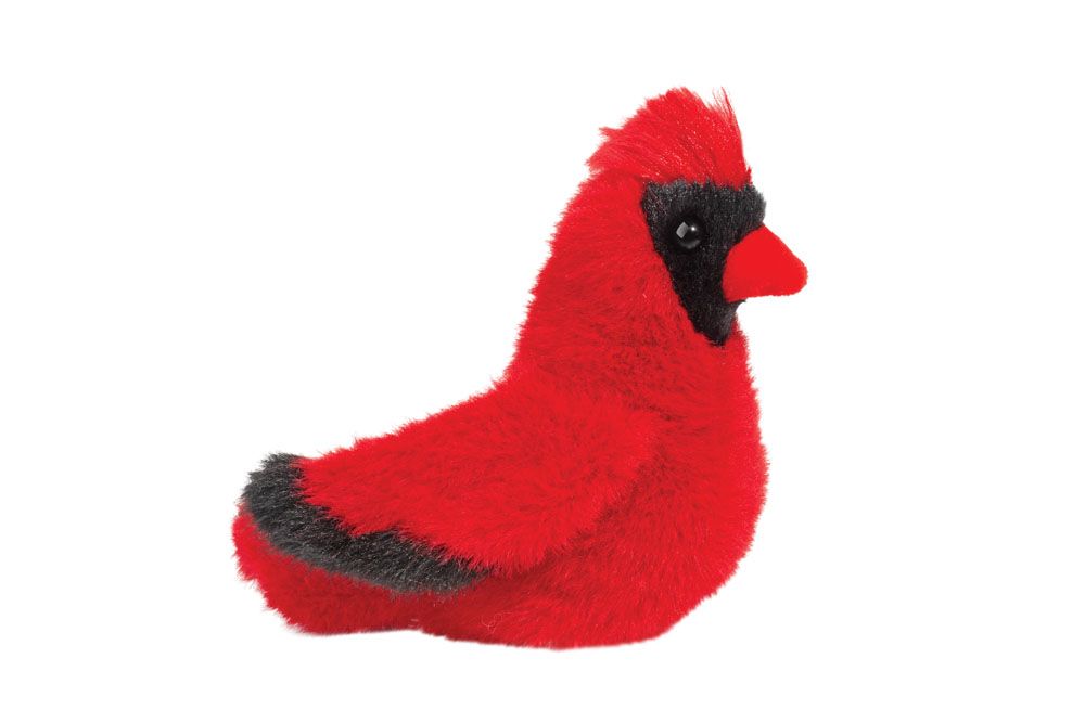 Carmine the Cardinal 
