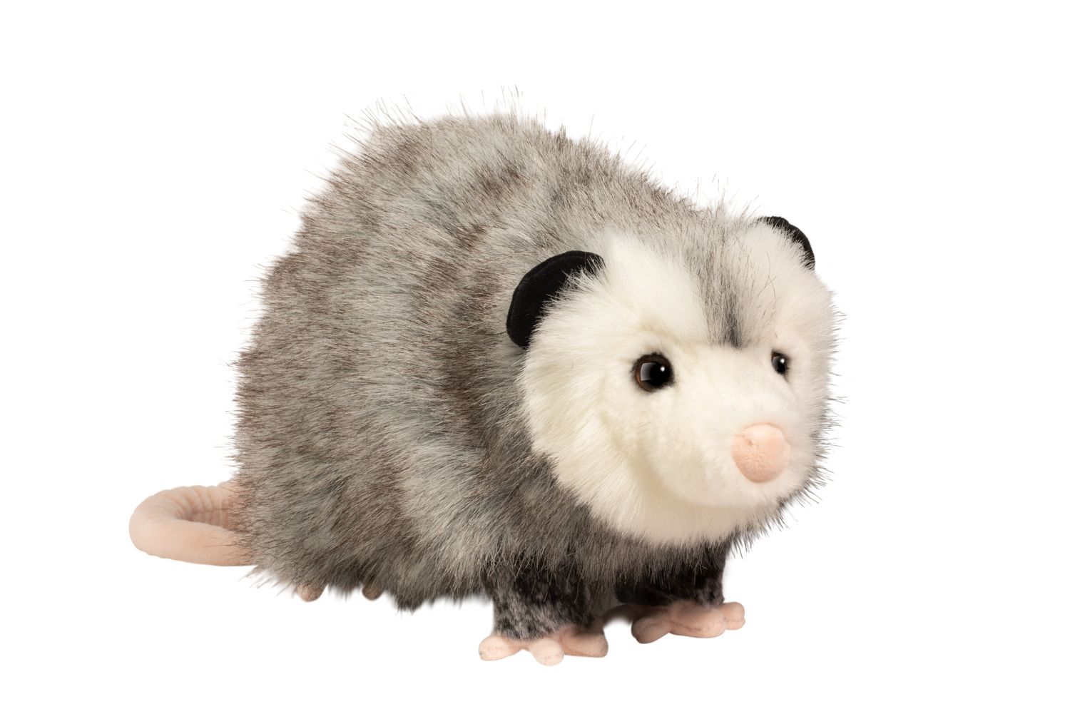 Pascal Possum 