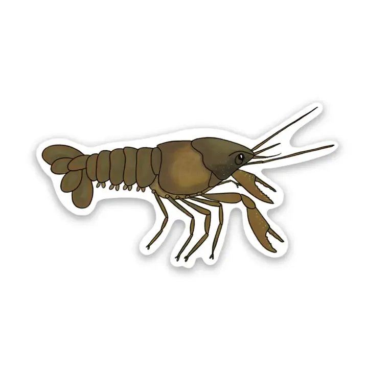 Maumee Crayfish Sticker