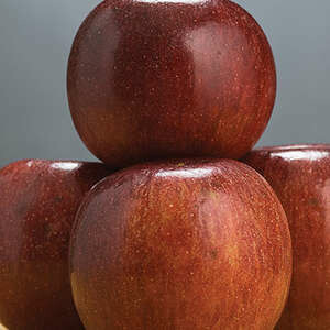 Apple Winecrisp 11/16"