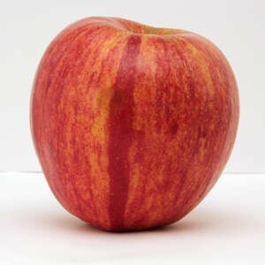 Apple KinderKrisp 11/16"