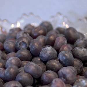 Blueberry Northblue #3