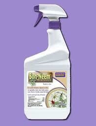 Neem Oil Insect Spray RTU 32oz