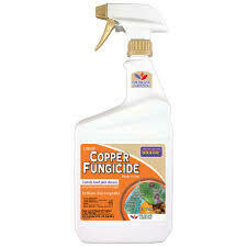 Copper Fungicide RTU 32oz