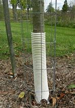 Corrugated Tree Guard 3