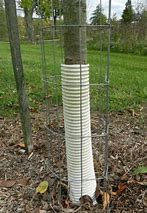 Corrugated Tree Guard 2"x36"