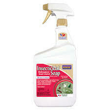 Insecticidal Super Soap RTU 32 fl oz