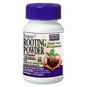 Rooting Powder 1.25oz Bontone