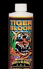 Tiger Bloom Qt