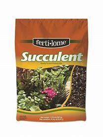Black Gold Succulent  & Cactus 8qt Potting Mix