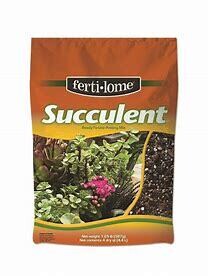 Succulent 4 Qt Mix