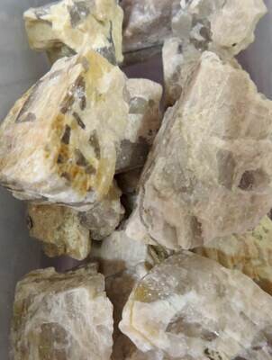 Zebra Jasper