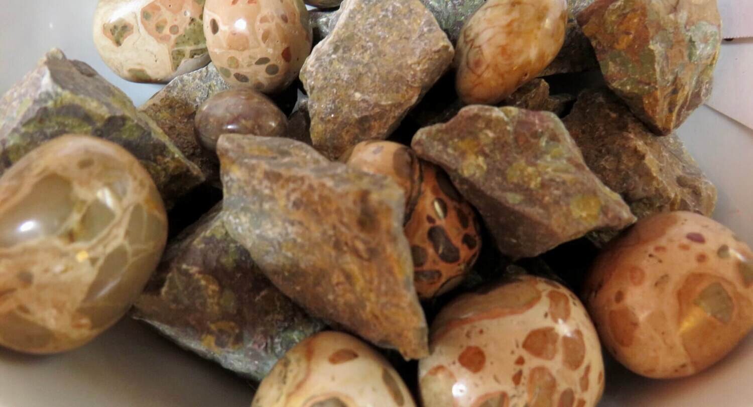 Leopardskin Jasper