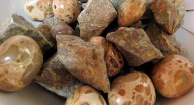 Leopardskin Jasper