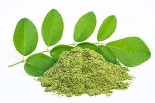 Moringa Leaf - 4oz