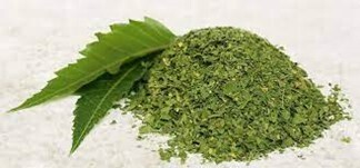 Neem Powder - 4oz