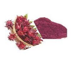 Sorrel Powder - 4oz