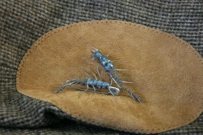 Articulated Hellgrammite Pin