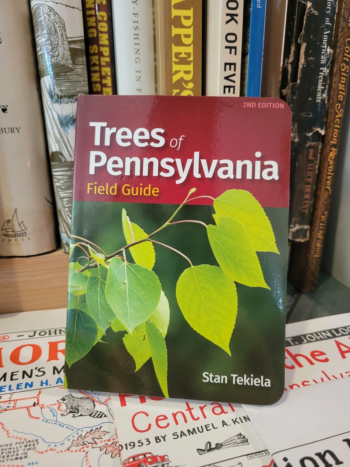 Trees of Pennsylvania Field Guide by Stan Tekiela