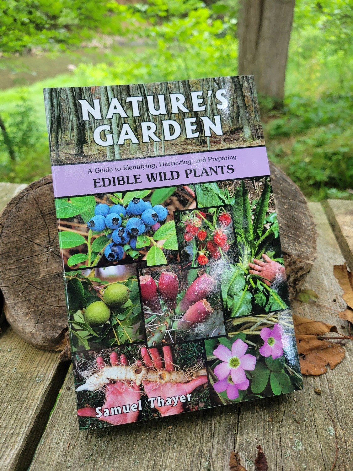 Nature's Garden: A Guide to Identifying, Harvesting, and Preparing Edible Wild Plants by Samuel Thayer