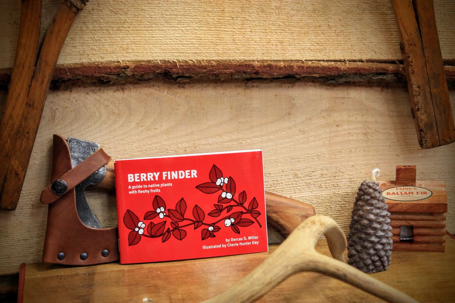 Berry Finder: A Guide To Native Plants with Fleshy Fruits by Dorcas S. Miller