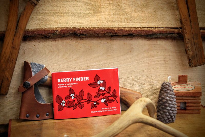 Berry Finder: A Guide To Native Plants with Fleshy Fruits by Dorcas S. Miller