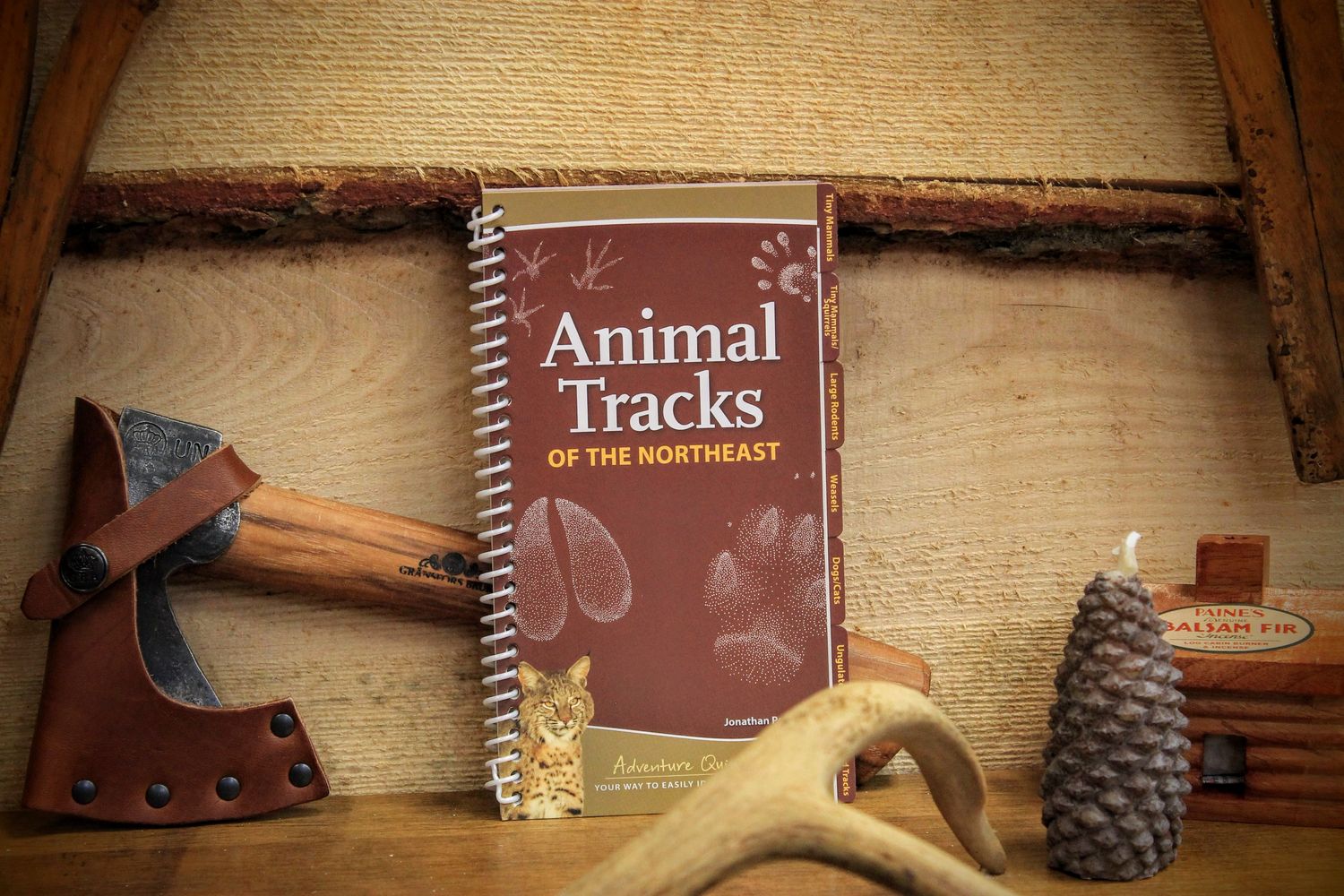 Animal Tracks of the Northeast