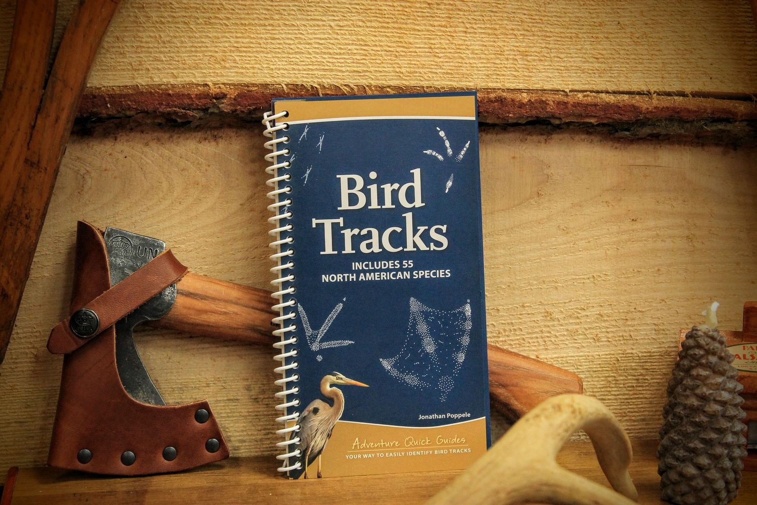 Bird Tracks - Includes 55 North American Species by Jonathan Poppele