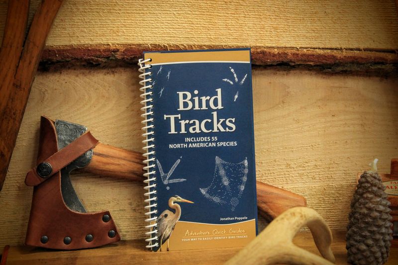 Bird Tracks - Includes 55 North American Species by Jonathan Poppele