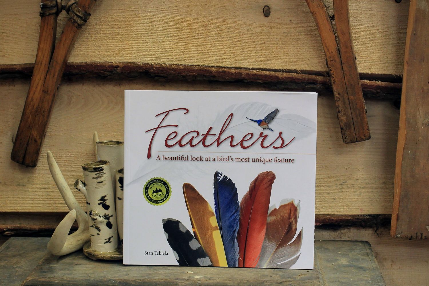 Feathers by Stan Tekiela