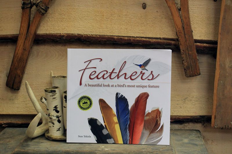 Feathers by Stan Tekiela