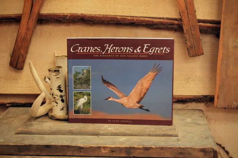 Cranes, Herons, and Egrets by Stan Tekiela