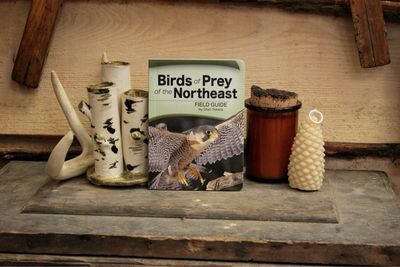 Birds of Prey of the Northeast Field Guide Stan Tekiela
