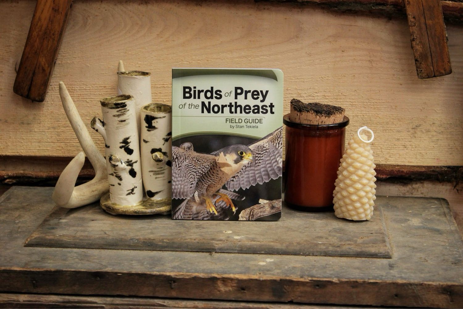 Birds of Prey of the Northeast Field Guide Stan Tekiela