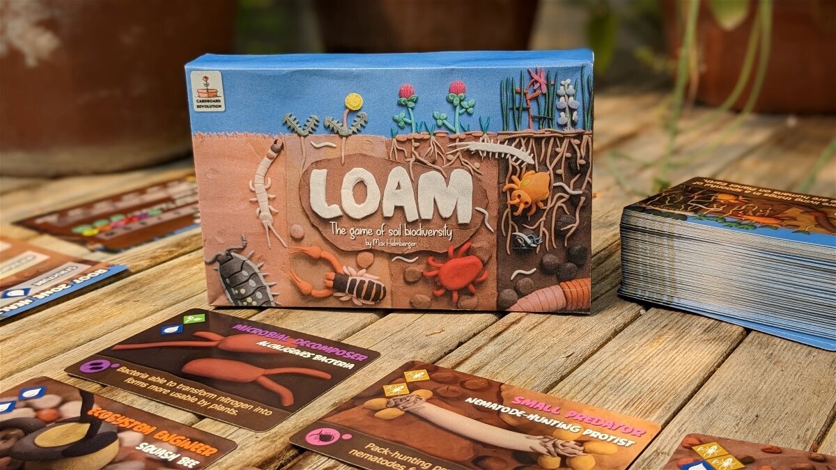 E-commerce Product Image
