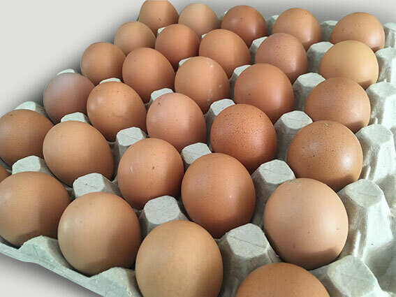 Eggs (X - Large)  30 eggs per tray