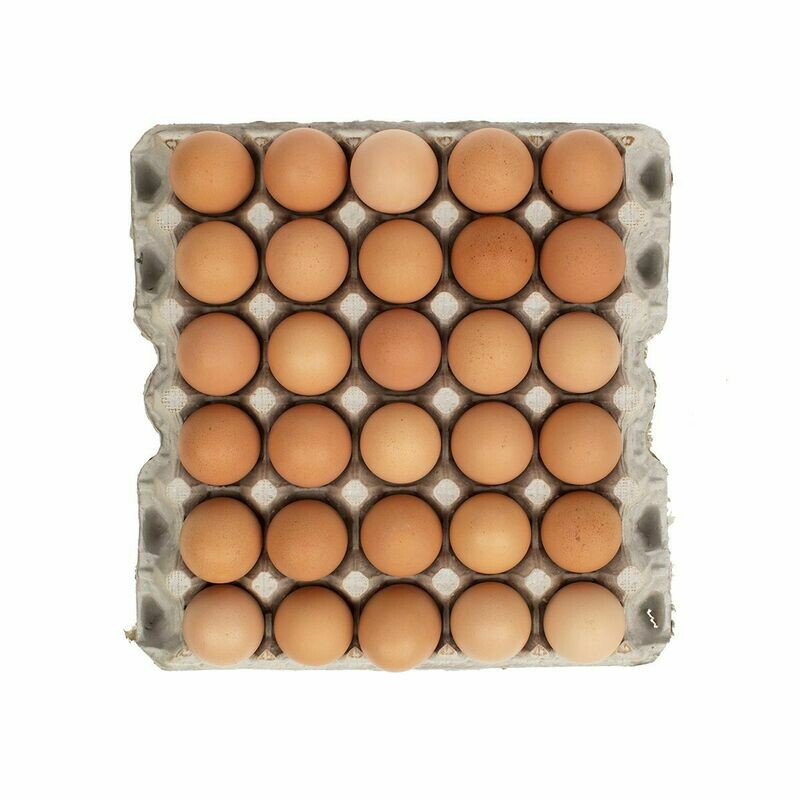 Eggs (Medium)  30 eggs per tray