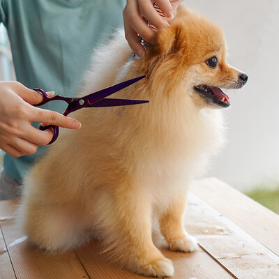 Grooming