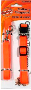 Combo collar y correa Bongo