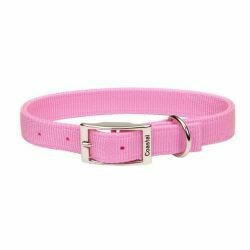 Collar Sunburst Coastal