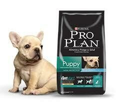 Pro Plan Cachorro R. Pequeña