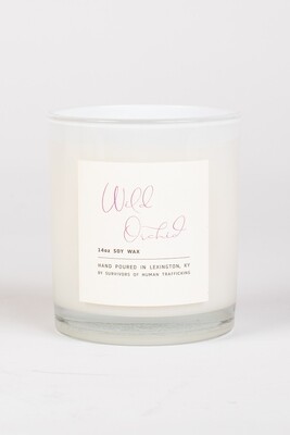 14 oz. Candle Wild Orchid