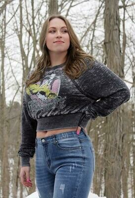 Aerosmith Crop