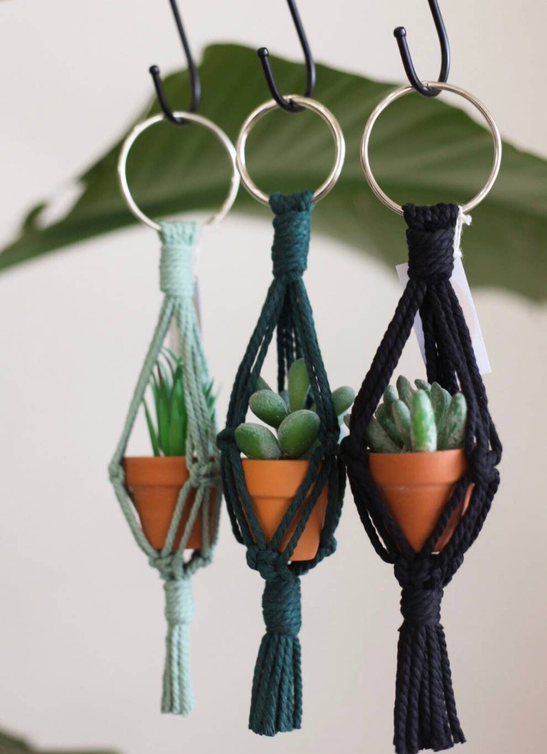 Gemini Rain - Mini Macrame Plant Hanger | Macrame Car Charm - Sea foam green