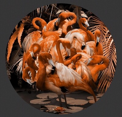 Flamingo Round Quartz Glass Picture, 100x100cm