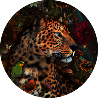 Cheetah Round Quartz Glass Picture, 100x100cm (cloned)