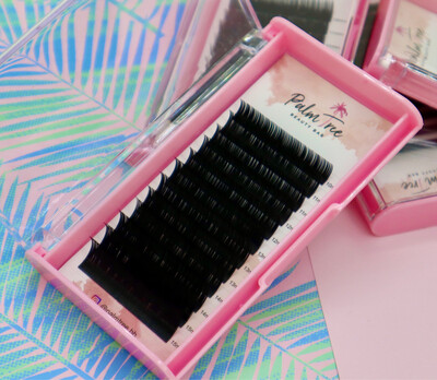 Shop Trays