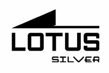 LOTUS SILVER PENDIENTES