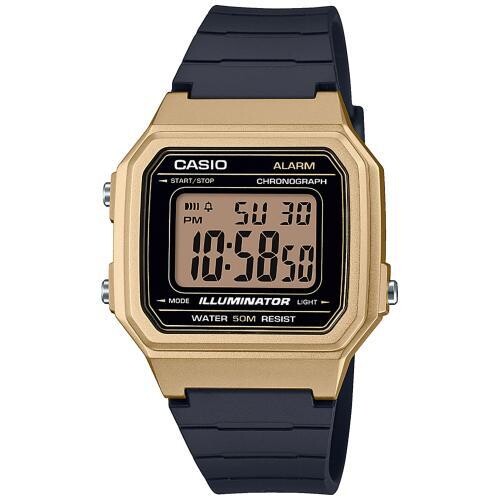 CASIO