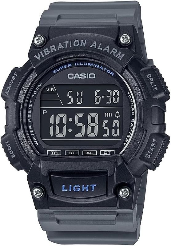 CASIO
